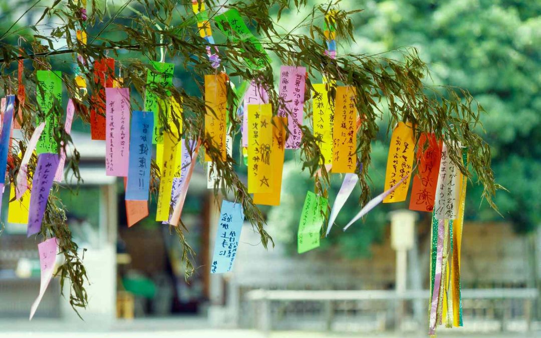 Taller Creativo: Tanabata – La Festividad de las Estrellas